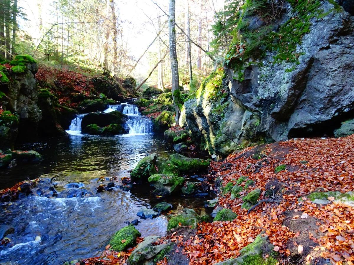 Le Pont Du Roy Acomodação com café da manhã Besse-et-Saint-Anastaise Exterior foto